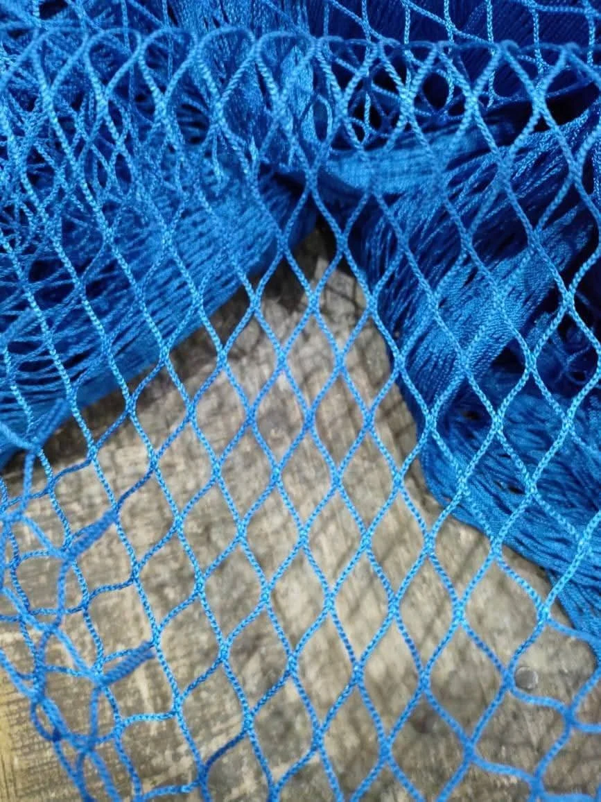 Filet Dakhla